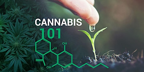 Cannabis 101 primary image