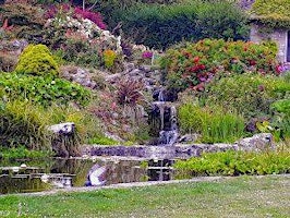 Rockery Walk with Andy Jeavons primary image