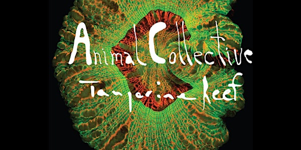 ANIMAL COLLECTIVE A Live Audio Visual Performance | Balboa Theater San Francisco Sat 12/8