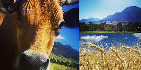 6th Annual High Plains Organic Farming Conference