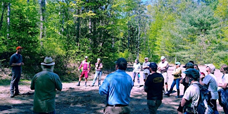 Bioblitz at Brattleboro Watershed Forest