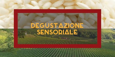 Degustazione sensoriale riso e vino Degustazione sensoriale riso e vino
