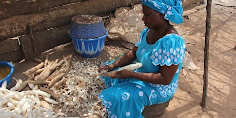 Cassava value chain development in sub-Saharan Africa primary image
