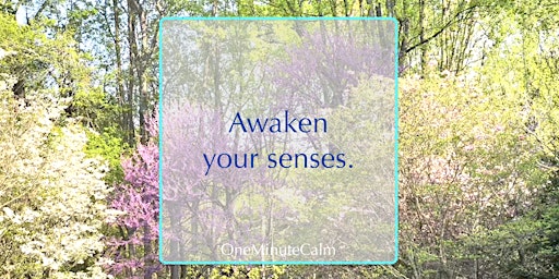 Hauptbild für Timeless Awakening: Mindfulness to Heighten Your Senses | Online Workshop