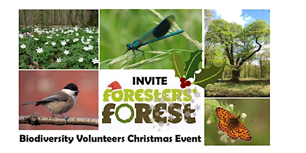Christmas Gathering for Volunteers & Project Leaders - Biodiversity Theme
