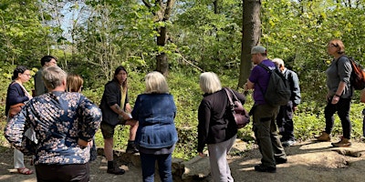 Imagem principal do evento Guided Walk to discover  Oxleas Woodlands