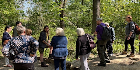 Guided Walk to discover  Oxleas Woodlands