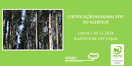 Imagem principal de Certificação Regional PEFC do Alentejo