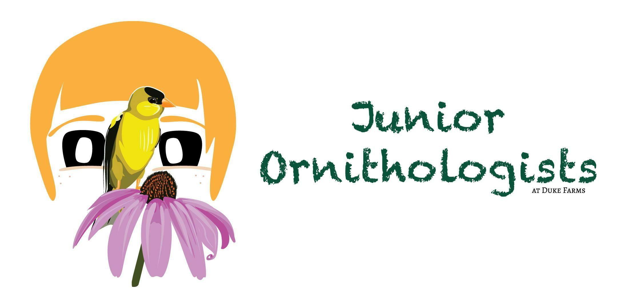 Junior Ornithologists 2019
