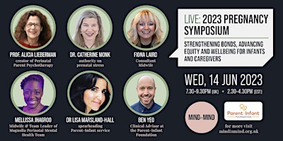 Recording 2023 Pregnancy Symposium: Strengthening Bonds, Equity & Wellbeing