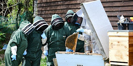 Fathers Day Beekeeping Experiences 2023 primary image