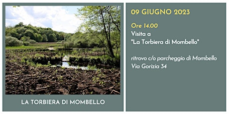 Visita all'itinerario  "La Torbiera di Mombello"