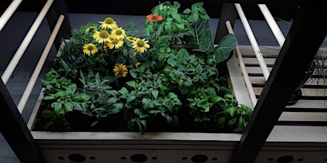 Introduction to Indoor Gardening primary image
