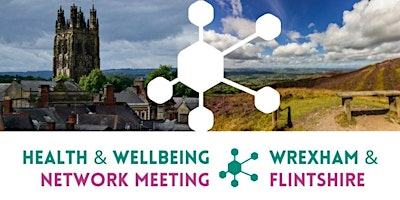 AVOW /FLVC Health and Wellbeing Network Meeting Wrexham and Flintshire