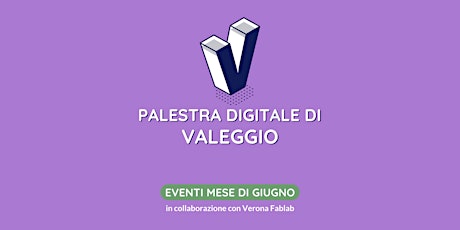 Palestra Digitale di Valeggio sul Mincio / Giugno 2023 / Verona Fablab