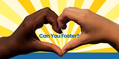 Find Out About Fostering Children