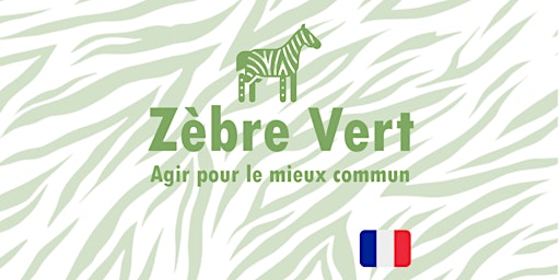 Zèbre Vert - Agir efficacement face à la crise primary image