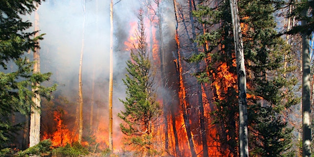 Image principale de Fire and Emergency Preparedness