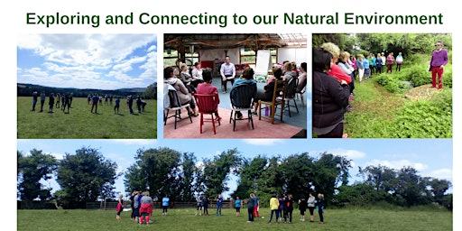 ROOTED in NATURE: CPD summer course for primary school teachers primary image