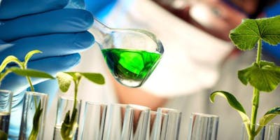 Laboratori di orientamento liceo scientifico, opzione scienze applicate Laboratori di orientamento liceo scientifico, opzione scienze applicate