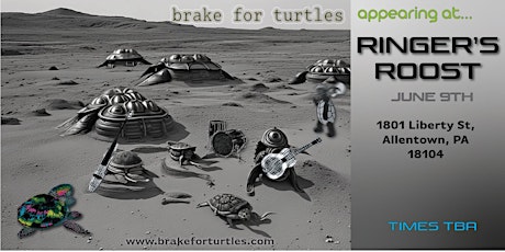 Brake For Turtles LIVE at Ringer's Roost