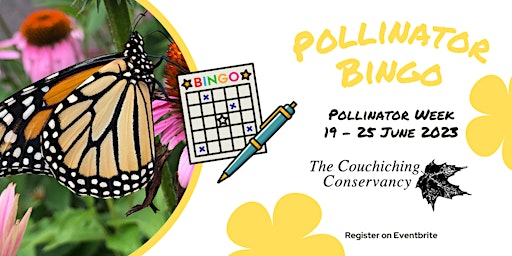 Pollinator Week Bingo primary image