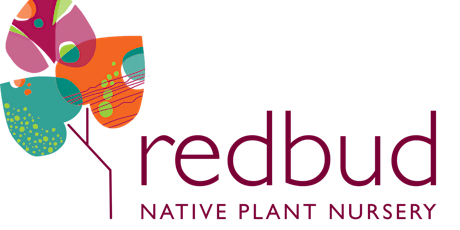 June 2023 Yard Talk: Container Gardening with Natives