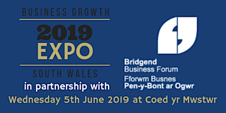 Bridgend Business Expo - Big Networking for Small Business primary image