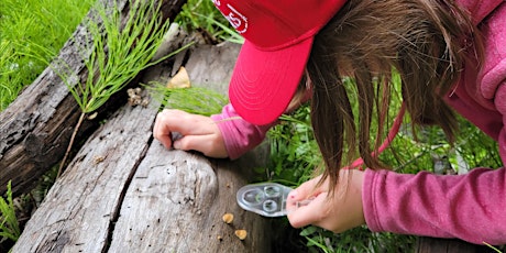 Into the Woods | Kids Nature Camp (Houston BC)