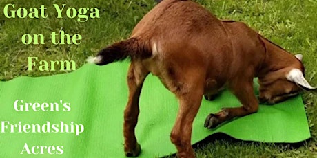 Goat Yoga on the Farm