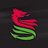 Logotipo da organização Disability Sport Wales