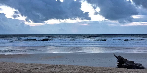 Beach Exploration