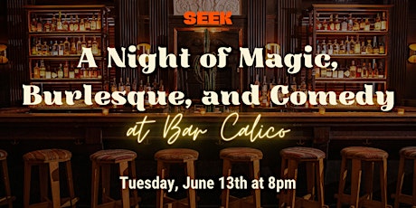 A Night of Magic, Burlesque, and Comedy
