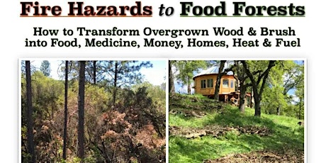Fire Hazards to Food Forests with Full Circle Garden Solutions - GV