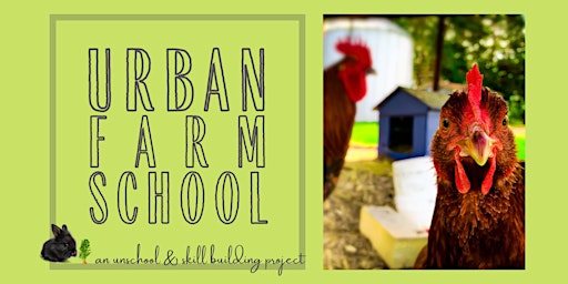 Urban Farm School: Mushrooms!