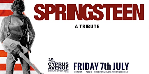 Springsteen - a tribute primary image