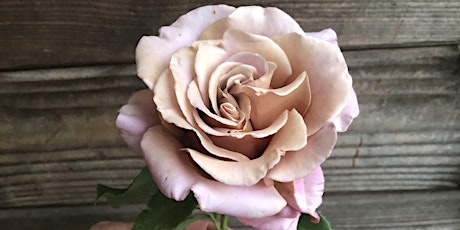 Growing Great Roses with Heirloom Roses