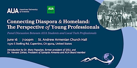 Connecting Diaspora & Homeland: The Perspective of Young Professionals