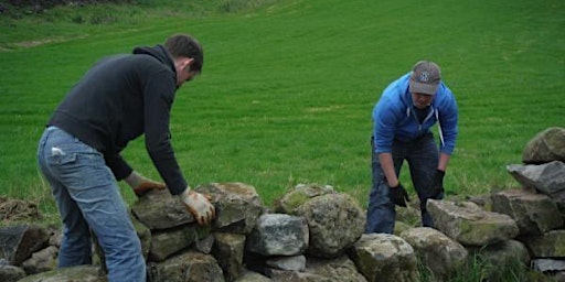 Help Dave Build a Dry Stone Wall -  Introduction to Dry-stone Walling: PM primary image