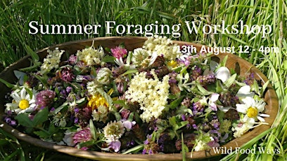 Summer Foraging Workshop