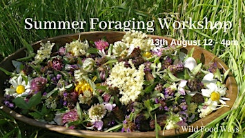 Summer Foraging Workshop primary image