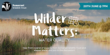 Wilder Matters: Water Quality