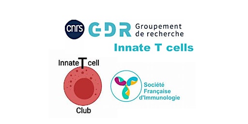 Image principale de 3rd Joint French Innate T cell symposium