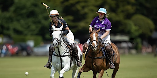 Polo & Brunch - League Match primary image