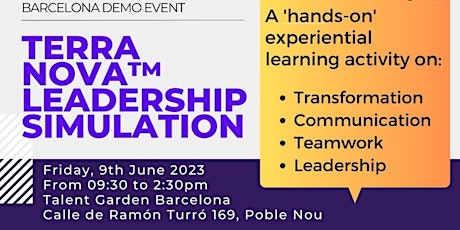 Terranova: A Leadership Simulation for Culture, Teamwork & Talent Spotting