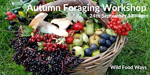 Autumn Foraging Workshop primary image