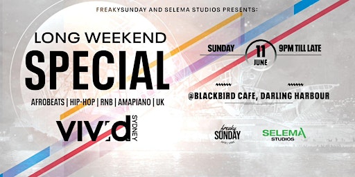 THE LONG-WEEKEND SPECIAL (VIVID)