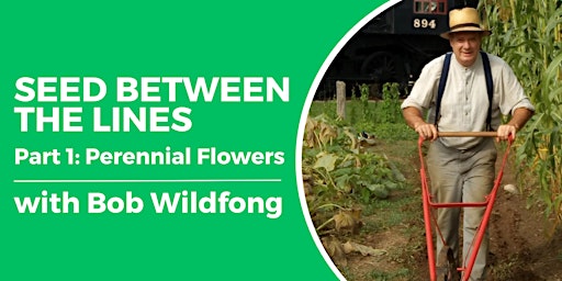 Seed Between the Lines with Bob Wildfong