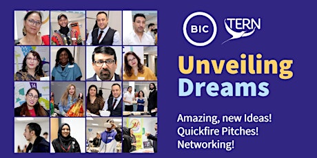Unveiling Dreams - A Pitch Event