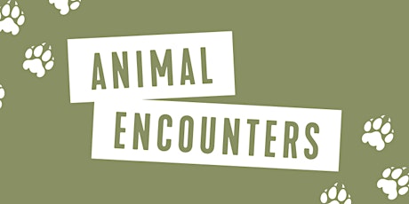 Animal Encounters with Roger Williams Zoo